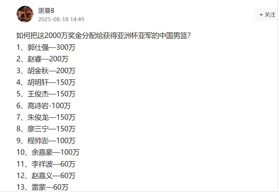 利亚男篮, 除了成绩之